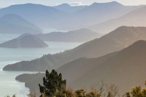Water taxi subsidies for Marlborough Sounds