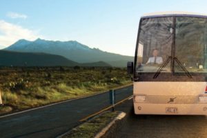 Go Bus to bolster luxury fleet to meet tourism demand