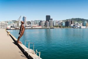 Wellington waterfront wears pink for summer