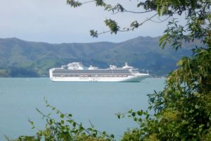 Akaroa expects just 19 cruise ships for 2022-23 season