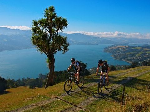 DOC empowered to consider more Otago cycle trails