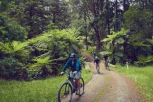 TRC: Cycle trail could generate $131m over 20 years