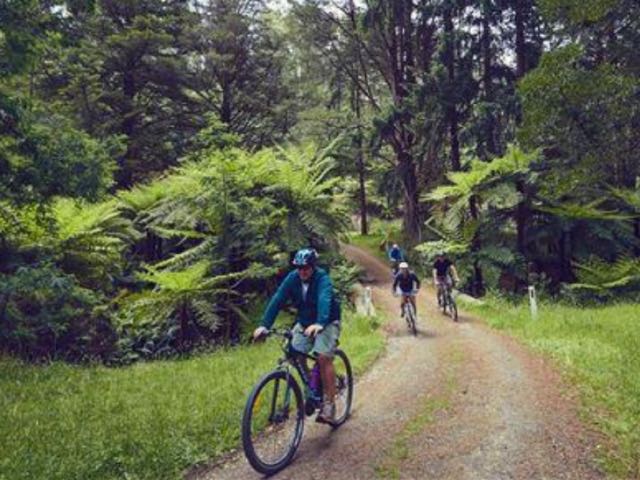 TRC: Cycle trail could generate $131m over 20 years