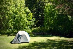 Dunedin commits $140k for freedom camping