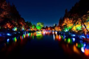 Light festival injects $8m into Taranaki economy