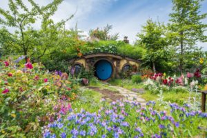 Best in Show for Hobbiton as it scoops garden awards
