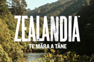 ZEALANDIA – Only a Beginning