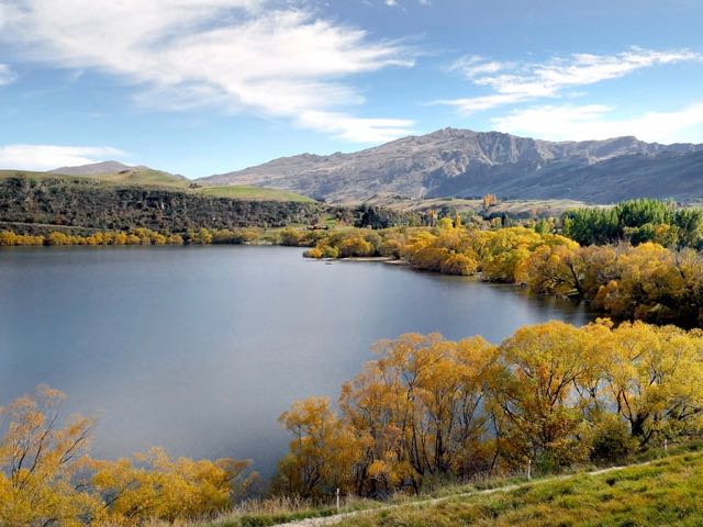 Swimmers warned away from Queenstown lake