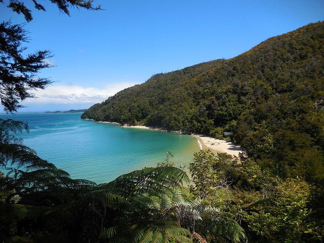 DOC launches ‘poo in a loo’ campaign at Abel Tasman