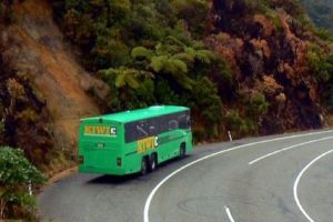 Kiwi Experience: Stranded passengers in good spirits