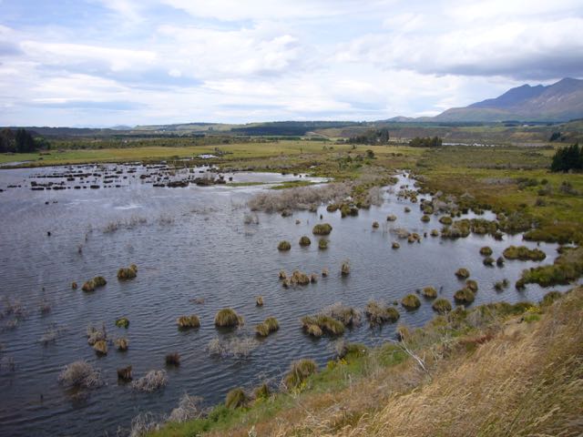Christchurch secures international wetlands conference