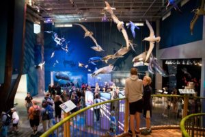 Te Papa’s nature exhibitions make way for the new