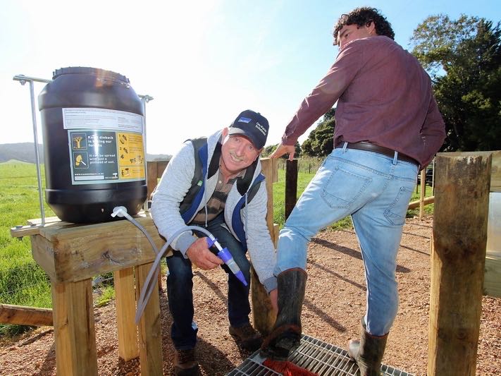 DIY kauri dieback cleaning station impresses council