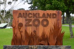 Auckland Zoo mourns loss of African white rhino