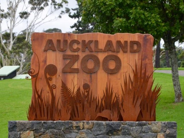Auckland Zoo closes gates, essential work continues
