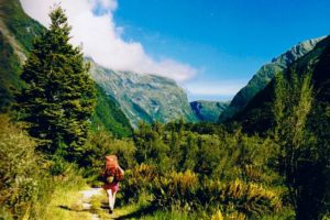 Ultimate Hikes sets opening dates, discounts prices for Milford, Routeburn