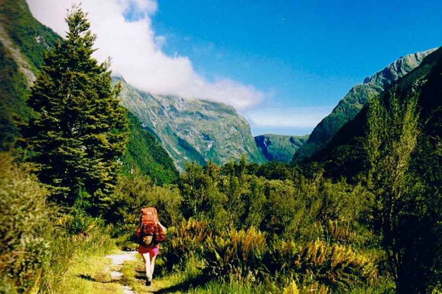Milford Track 97% full in first hour of bookings