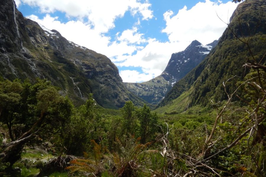 Search continues for missing tramper on Milford Track