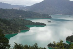 Sections of Queen Charlotte Track to re-open Saturday