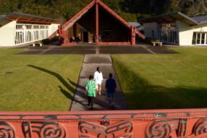 Tourism NZ suspends global marketing