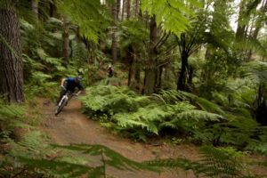 More gold in Rotorua’s mountain biking