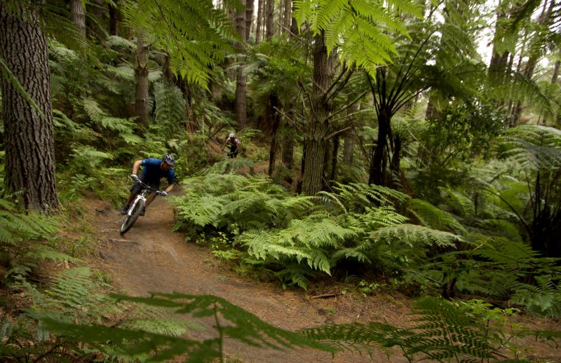 More gold in Rotorua’s mountain biking