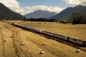 Weak tourism offset by strong freight in FY21 – KiwiRail