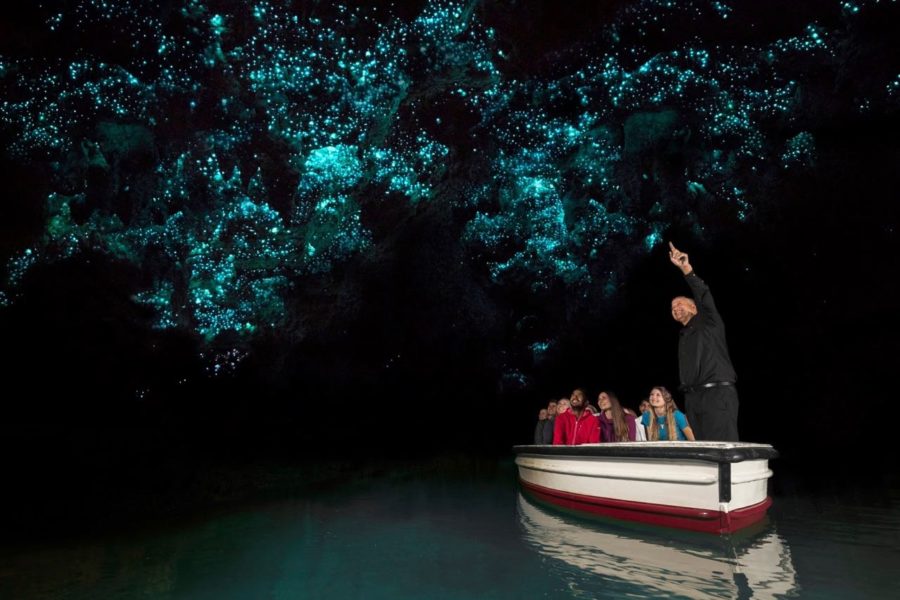Waitomo Caves offers te reo Māori glowworm tours