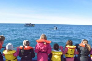 Whale Watch Kaikōura rewards local children post-quake