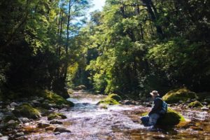 Trout season attracts 13k international anglers