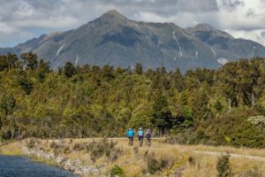 Cycle Journeys to plough $400k into new Paparoa Trail business