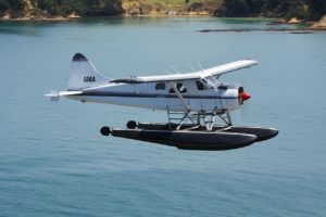 Auckland Seaplanes back in the sky