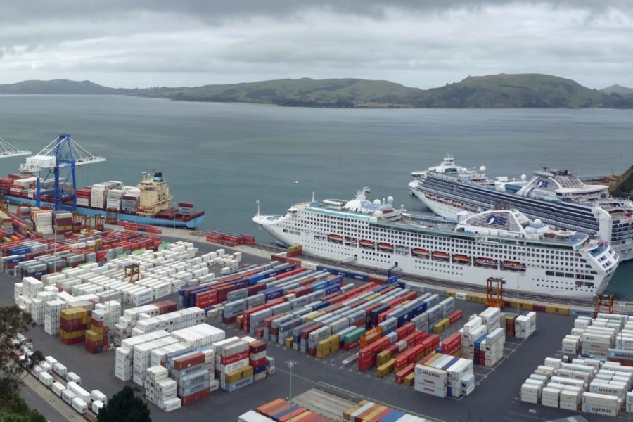 Dunedin preps transport for 7k cruise visitors