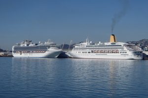 Wellington expecting bumper cruise season