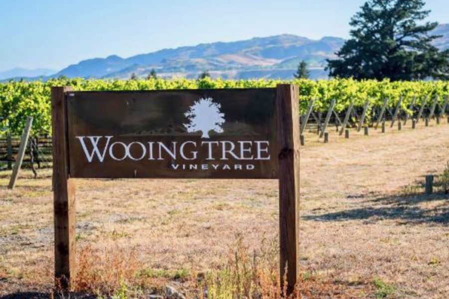 New wine tourism venture for Otago