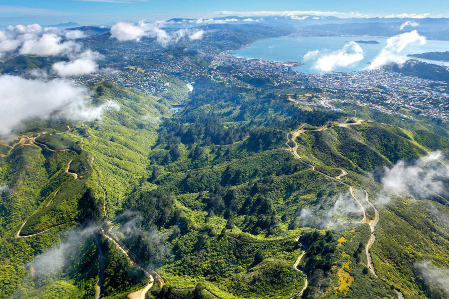 Zealandia underscores visitor value from regenerative tourism