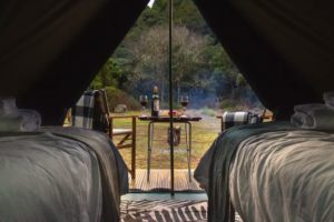 New luxury campsite launches on Timber Trail