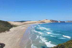 Te Oneroa-a-Tōhe/Ninety Mile Beach plan takes effect