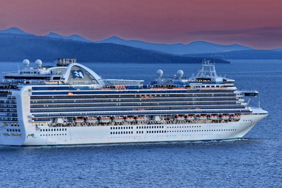 NZ Cruise welcomes Ruby Princess finding