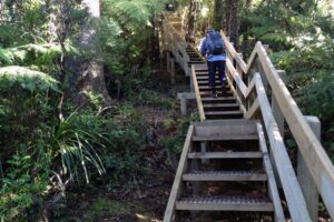 Popular Waikato track to remain closed under level 2