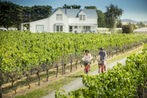 Nats pledge to support wine tourism