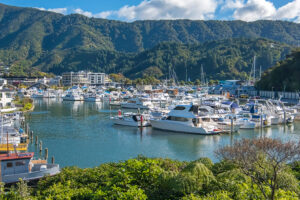 Picton looking to boost visitor offerings through new attractions