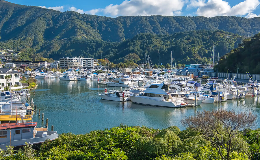 Merit in new Picton tourist attractions – study