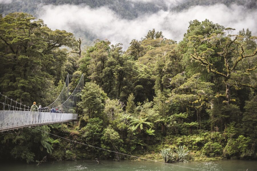 NTT’s Hollyford Track experience to reopen Jan 2021