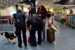 Travellers urged to do their bit for biosecurity
