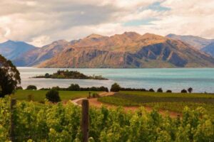 NZ vineyards recognised as top wine destinations