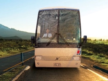 Coach operators plead for help after 2000 drivers lose jobs