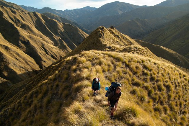 Kiwis now outnumber internationals on Te Araroa Trail