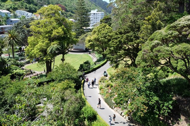 Wellington gardens commended for international significance