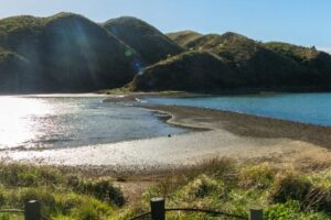 Greater Wellington seeks feedback on regional parks